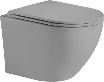 Унитаз подвесной Weltwasser WW Merzbach 043 MT-GR безободковый, с микролифтом, серый матовый 10000009941