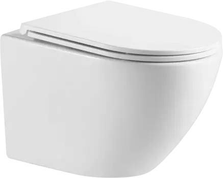 Унитаз подвесной Weltwasser WW Merzbach 041 XL GL-WT безободковый, с микролифтом, белый глянец 10000008268
