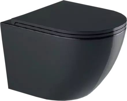 Унитаз подвесной Weltwasser WW Merzbach 043 GL-BL безободковый, с микролифтом, черный глянец 10000011164