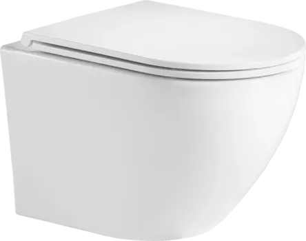 Унитаз подвесной Weltwasser WW Merzbach 043GL-WT безободковый, с микролифтом, белый глянец 10000009939