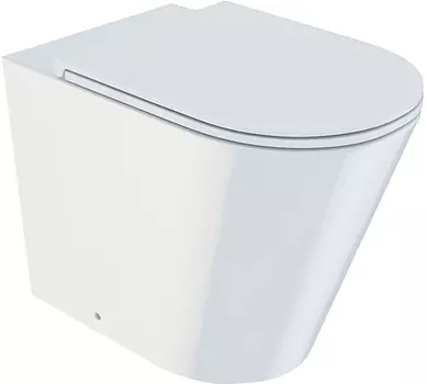 Унитаз приставной Iddis Calipso Rimless CALRDSEi26 с микролифтом, безободковый