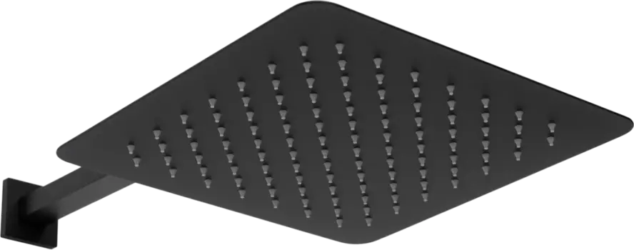 Верхний душ Allen Brau Infinity 5.21A19-31 черный