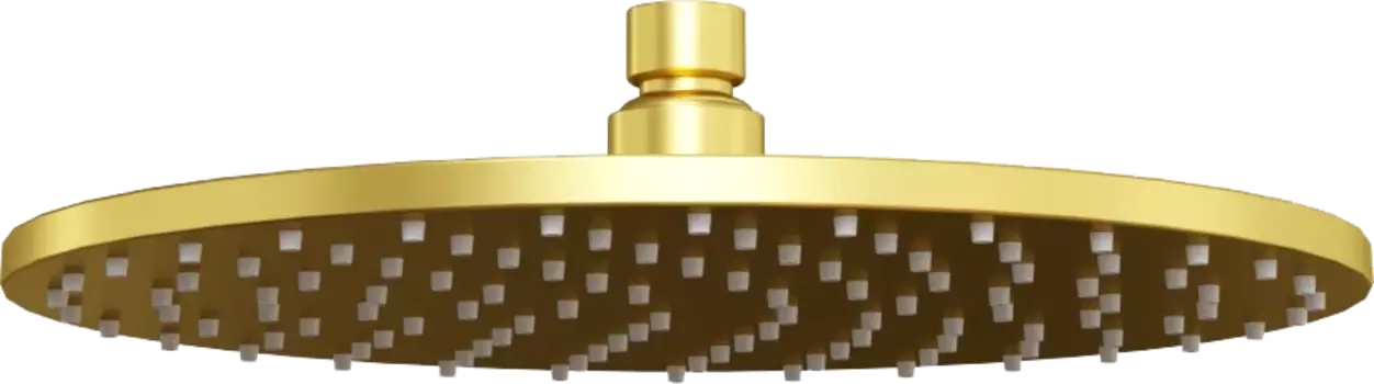 Верхний душ Paini 50PJ759TT25