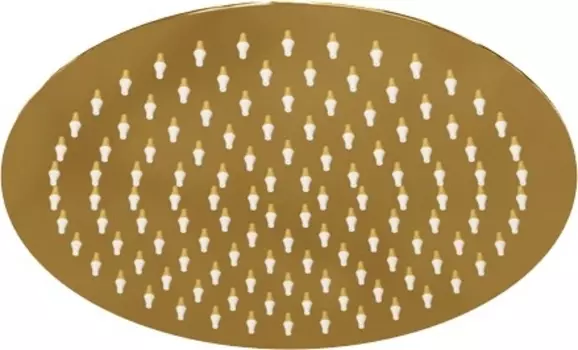 Верхний душ Wasserkraft Sauer A208