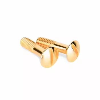 Винты для распределительной коробки/TV розетки Ретро золото WL18-22-01 4690389105906