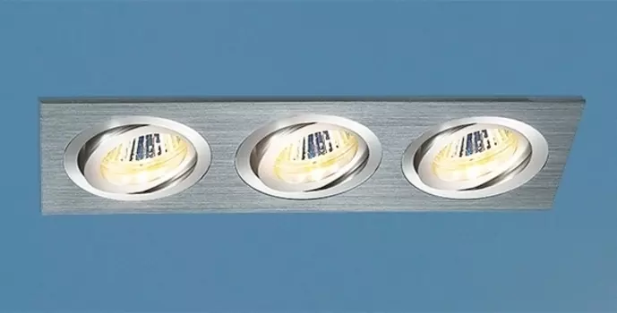 Встраиваемый светильник Elektrostandard 1011/3 MR16 CH хром 4690389055843