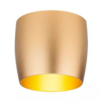 Встраиваемый светильник Elektrostandard 6074 MR16 GD золото 4690389135880