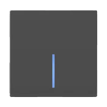 Выключатель одноклавишный проходной с подсветкой Werkel серо-коричневый WL07-SW-1G-2W-LED 4690389086663