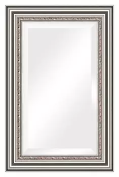 Зеркало Evoform Exclusive BY 1237 56x86 см римское серебро
