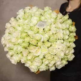 101 белая роза 40 см Premium SP