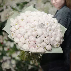 101 белый пион Standart