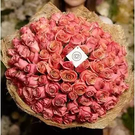 101 коралловая роза 40 см Premium