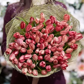 101 коралловый тюльпан