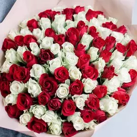 101 красная и белая роза микс 40 см Standart