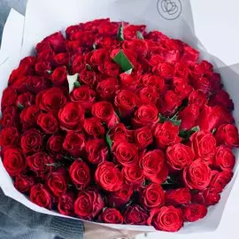 101 красная роза (Кенийская) 40 см Standart