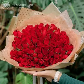 101 красная роза 40 см Standart SP