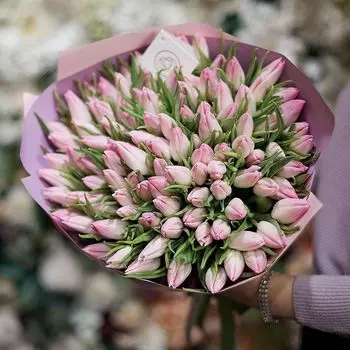 101 нежно-розовый тюльпан
