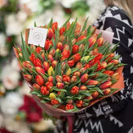 101 оранжевый тюльпан