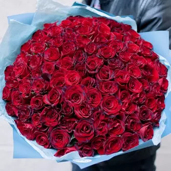 101 красная с темной каймой роза (Российская) 40 см
