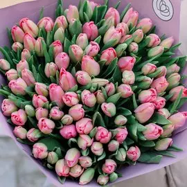 101 розовый тюльпан