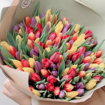 101 тюльпан микс