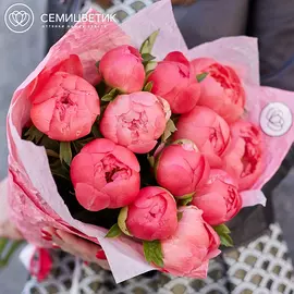 11 коралловых пионов Premium