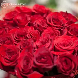 11 красных роз Freedom 70 см