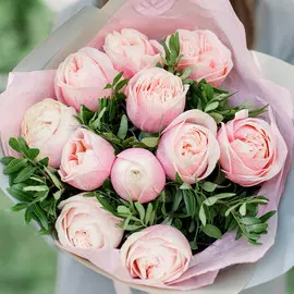 11 нежно-розовых пионовидных роз Swan Grace с фисташкой
