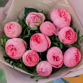 11 ярко-розовых одноголовых пионовидных роз Pink Piano 40 см с фисташкой