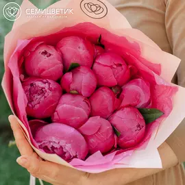 11 ярко-розовых пионов Premium