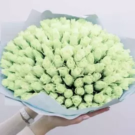 151 белая роза Standart 40 см