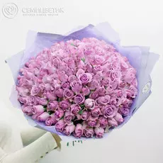 151 сиреневая роза Standart 40 см
