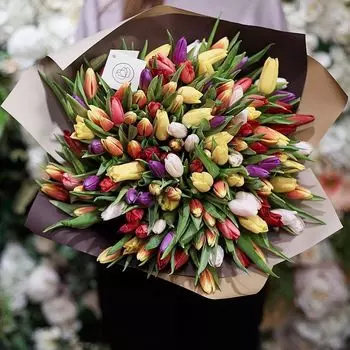 151 тюльпан микс в дизайнерской упаковке