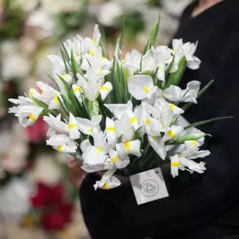 15 белых ирисов