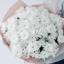 15 белых кустовых хризантем