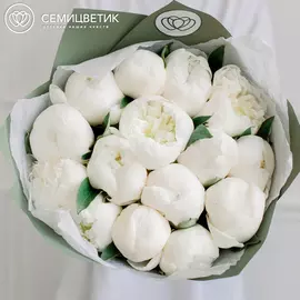 15 белых пионов Premium