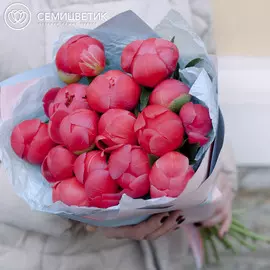 15 коралловых пионов Premium