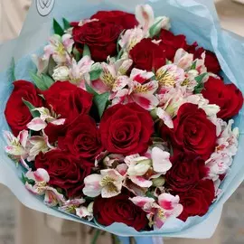 15 красных с темной каймой (Российская) и 10 розовых альстромерий