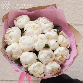 15 кремовых пионов Standart