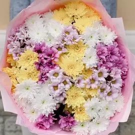 15 кустовых хризантем микс