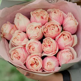 15 нежно-розовых пионовидных роз Swan Grace