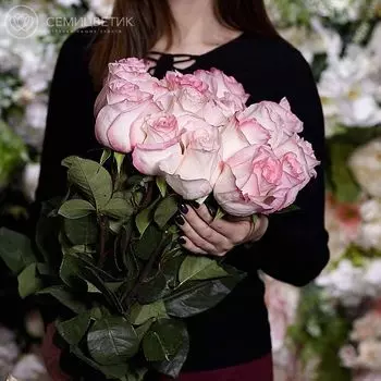 15 нежно-розовых роз Бульвар 50 см