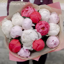 15 пионов микс Premium