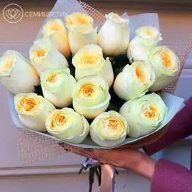 15 пионовидных роз BATTERCUP 50 см