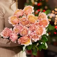 15 пионовидных роз Майрас Пич 60 см