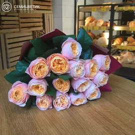 15 пионовидных роз Peach Vuvuzela