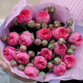 15 пионовидных розовых роз Pink Piano