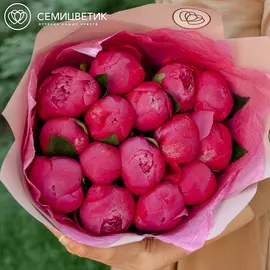15 ярко-розовых пионов Premium
