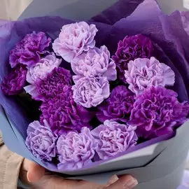 15 сиреневых (лунных) гвоздик