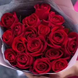17 красных роз 40 см Standart